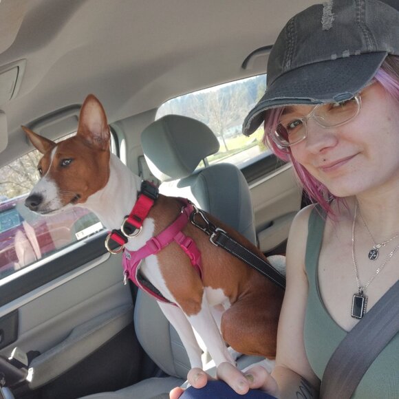 Meet your Posher, Halley - Picture 5 of 5